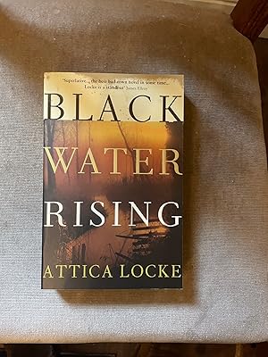 Seller image for Black Water Rising ****SIGN, LINE, DATED UK 1ST/1ST*** for sale by BRITOBOOKS
