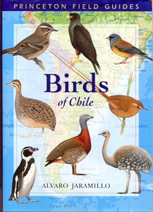Immagine del venditore per Birds of Chile (Princeton Field Guides, 28) venduto da Turgid Tomes