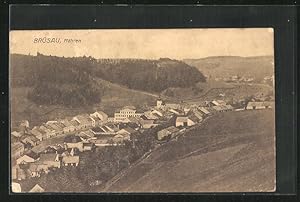 Ansichtskarte Brüsau, Panoramablick vom Berg