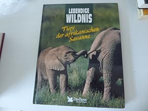 Immagine del venditore per Lebendige Wildnis. Tiere der afrikanischen Savanne. Hardcover Groformat. 1150 g venduto da Deichkieker Bcherkiste