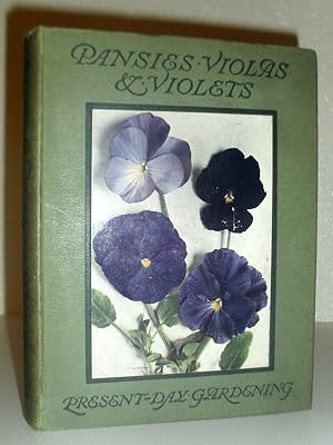 Pansies, Violas & Violets