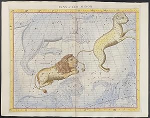 Lynx & Leo Minor (Lion) Constellations