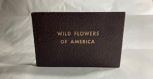 Wild Flowers of America.