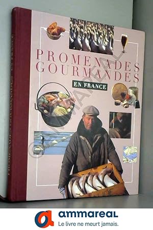 Seller image for Promenades gourmandes en France for sale by Ammareal