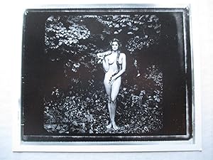 Image du vendeur pour Annie Leibovitz A Year in Pictures James Danziger Gallery 1993 Exhibition invite postcard mis en vente par ANARTIST
