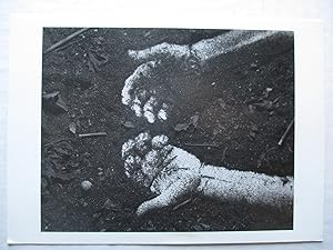 Imagen del vendedor de Vik Muniz Hands Museum of Modern Art 1997 postcard a la venta por ANARTIST