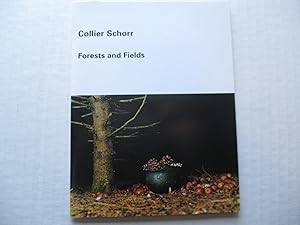 Imagen del vendedor de Collier Schorr Forests and Fields 303 Gallery 1991 Exhibition invite postcard a la venta por ANARTIST