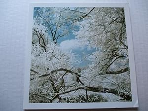 Bild des Verkufers fr Thomas Ruff jpeg ti101 on David Zwirner Happy New Year postcard zum Verkauf von ANARTIST