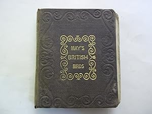 The Little Book of British Birds.