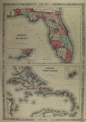 Johnson s Florida - West Indies.