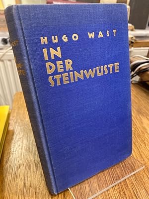 Imagen del vendedor de In der Steinwste. Roman aus der argentinischen Sierra. bertragung aus dem Spanischen von Erna Stoldt. a la venta por Altstadt-Antiquariat Nowicki-Hecht UG