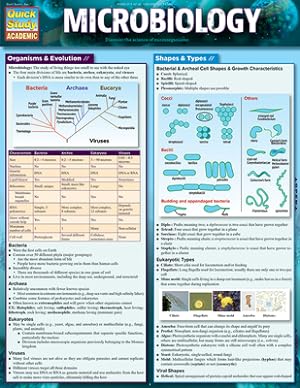 Seller image for Microbiology (Poster) for sale by BargainBookStores