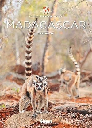 les clés pour bien voyager - Madagascar