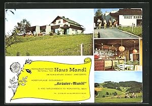 Bild des Verkufers fr Ansichtskarte Sarleinsbach, Gasthaus und Pension Haus Mandl, Kruter-Mandl zum Verkauf von Bartko-Reher