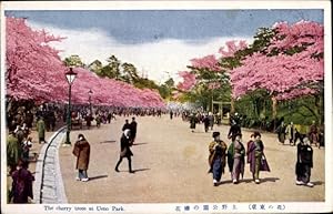 Immagine del venditore per Ansichtskarte / Postkarte Tokyo Tokio Japan, The cherry trees at Ueno Park venduto da akpool GmbH