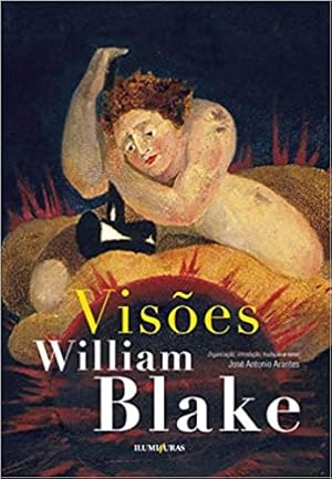 Seller image for Visões for sale by Livro Brasileiro