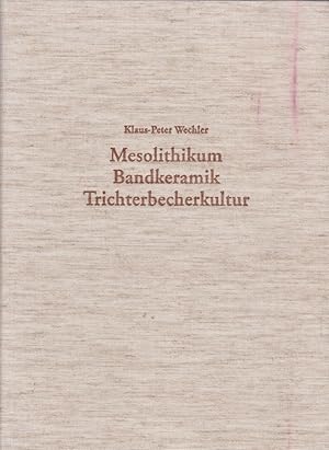 Mesolithikum, Bandkeramik, Trichterbecherkultur : zur Neolithisierung Mittel- und Ostdeutschlands...