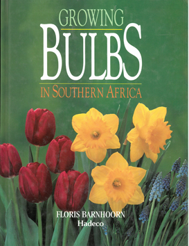 Growing Bulbs in Southern Africa