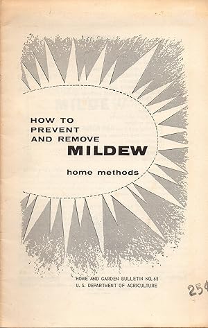 How to Prevent and Remove Mildew Home Methods