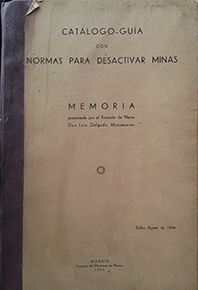 NORMAS PARA DESACTIVAR MINAS