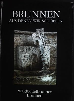 Bild des Verkufers fr Brunnen aus denen wir schpfen zum Verkauf von books4less (Versandantiquariat Petra Gros GmbH & Co. KG)