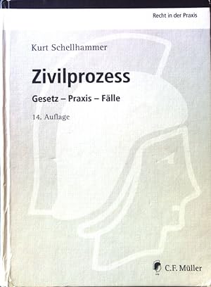 Bild des Verkufers fr Zivilprozess : Gesetz - Praxis - Flle. Recht in der Praxis zum Verkauf von books4less (Versandantiquariat Petra Gros GmbH & Co. KG)