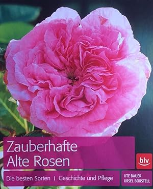 Seller image for Zauberhafte alte Rosen. Die besten Sorten ; Geschichte und Pflege. for sale by Antiquariat J. Hnteler
