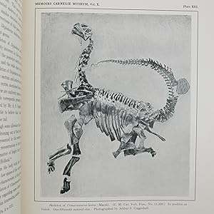 Bild des Verkufers fr A Nearly Complete Articulated Skeleton of Camarasaurus a Saurischian Dinosaur from the Dinosaur National Monument, Utah" [And] "Osteology of Ornithopodous Dinosaurs from the Dinosaur National Monument, Utah." Extracted from Memoirs Carnegie Museum, Vol. X. No. 3, pp. 347-410. Issued July 10, 1925. zum Verkauf von Alembic Rare Books