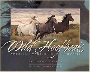 Imagen del vendedor de Wild Hoofbeats : America's Vanishing Wild Horses a la venta por GreatBookPrices