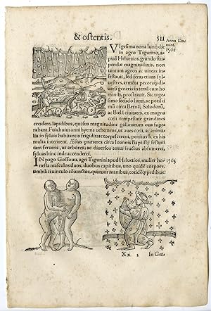 Rare Antique Print-STORM-HAIL-DEFORMITY-CHILD WITHOUT EYES-Lycosthenes-1557
