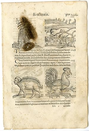 Rare Antique Print-DISASTER-HAIL-RAT-COMET-DEFORMED-ROOSTER-PIG-Lycosthenes-1557