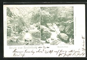 Bild des Verkufers fr Ansichtskarte Rochsburg, Zwei Ansichten aus dem Brauselochthal zum Verkauf von Bartko-Reher