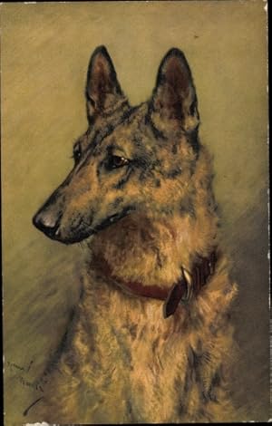 Künstler Ansichtskarte / Postkarte Schäferhund, Hundeportrait