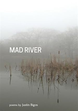 Seller image for Mad River for sale by GreatBookPricesUK