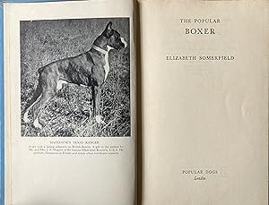 The popular Boxer