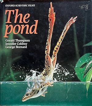 Seller image for The pond for sale by Acanthophyllum Books