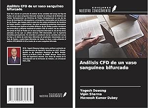 Seller image for Anlisis CFD de un vaso sanguneo bifurcado for sale by moluna