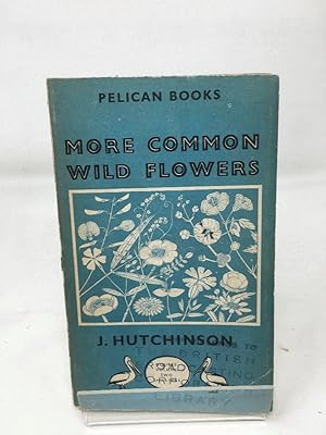 More Common Wild Flowers