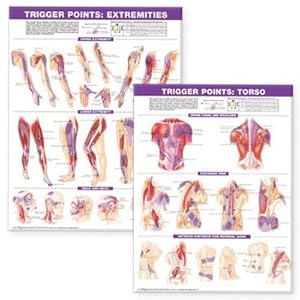 Immagine del venditore per Trigger Point Chart Set: Torso & Extremities Paper venduto da AHA-BUCH GmbH