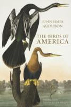 Imagen del vendedor de Birds of America a la venta por AHA-BUCH GmbH