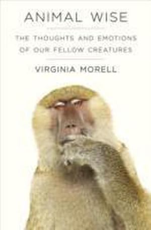 Immagine del venditore per Animal Wise : The Thoughts and Emotions of Animals venduto da AHA-BUCH GmbH