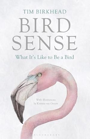 Bild des Verkufers fr Bird Sense : What It's Like to Be a Bird zum Verkauf von AHA-BUCH GmbH