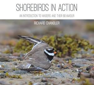 Seller image for Shorebirds in Action : An Introduction to Waders and Their Behaviour for sale by AHA-BUCH GmbH