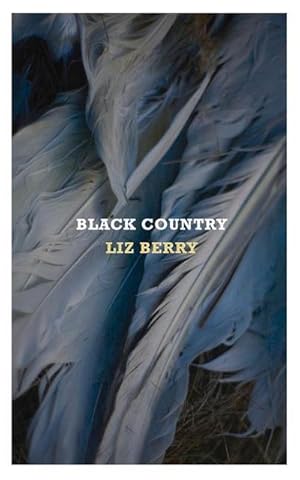 Imagen del vendedor de Black Country a la venta por AHA-BUCH GmbH