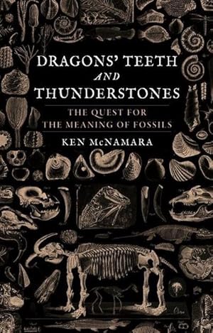 Bild des Verkufers fr Dragons' Teeth and Thunderstones : The Quest for the Meaning of Fossils zum Verkauf von AHA-BUCH GmbH