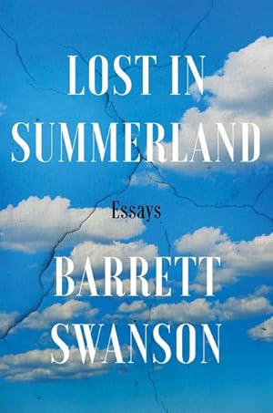 Immagine del venditore per Lost In Summerland : Essays venduto da AHA-BUCH GmbH
