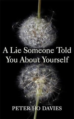 Seller image for A Lie Someone Told You About Yourself for sale by AHA-BUCH GmbH