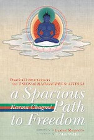 Imagen del vendedor de A Spacious Path to Freedom : Practical Instructions on the Union of Mahamudra and Atiyoga a la venta por AHA-BUCH GmbH