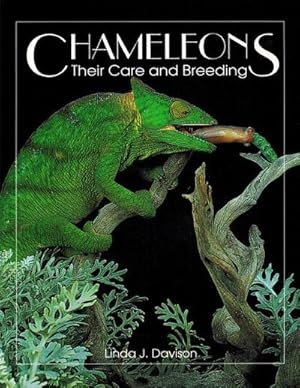 Bild des Verkufers fr Chameleons : Their Care and Breeding zum Verkauf von AHA-BUCH GmbH