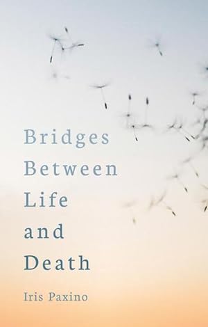 Bild des Verkäufers für Bridges Between Life and Death zum Verkauf von AHA-BUCH GmbH